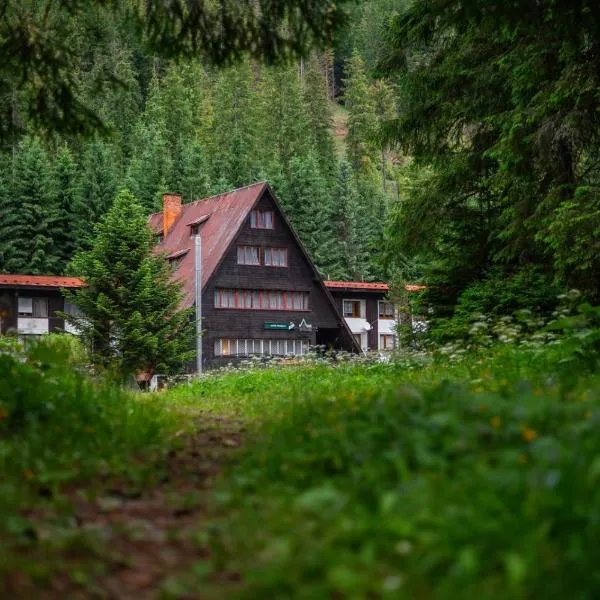 Horská chata Primula - 1000 m nad morom, hotel en Zuberec