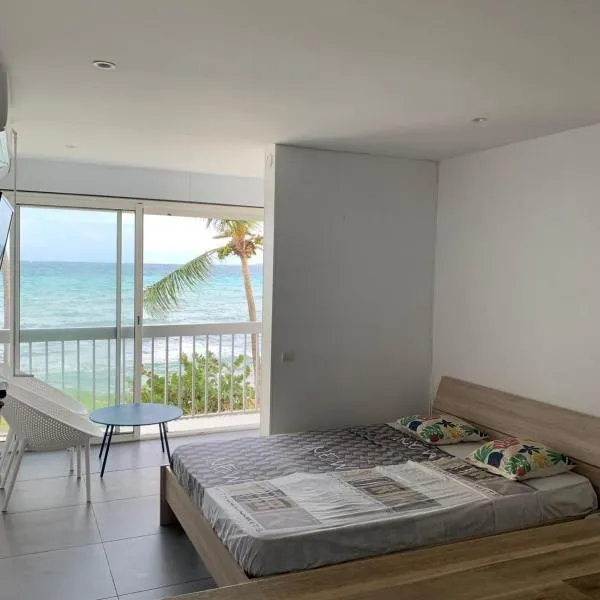 Studio vue sur mer Fort D'épée, hotel in Le Gosier