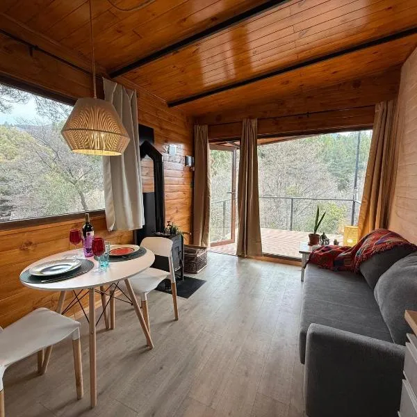 RIO-ABAJO Cabañas frente al RIO MELIQUINA, hotel v destinaci Villa Meliquina