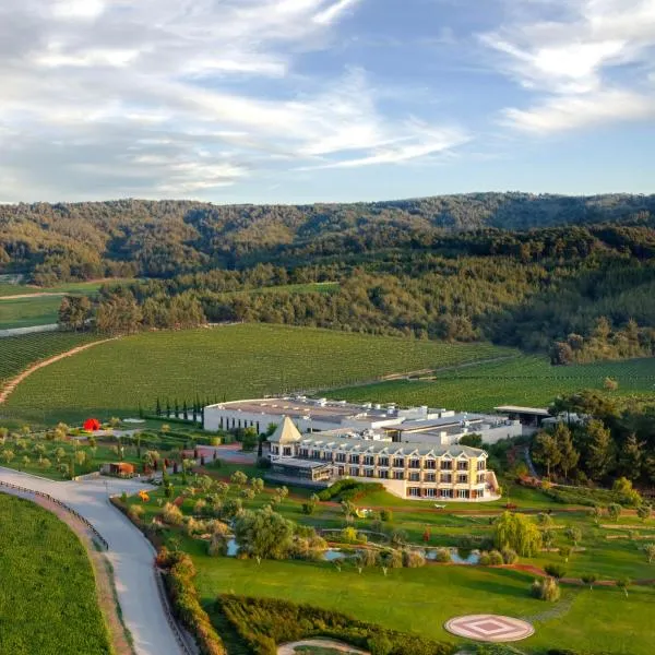 Hotel Caeli, hotel in Eceabat