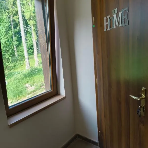 Evrika home 4, מלון בפמפורובו