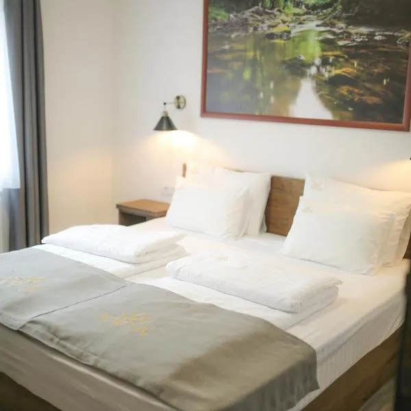 Soko IN Spa，位于索科矿泉村的酒店