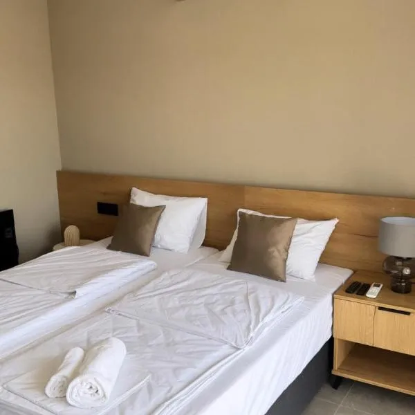Apartmani Tanasijević, hotel din Rajkovac