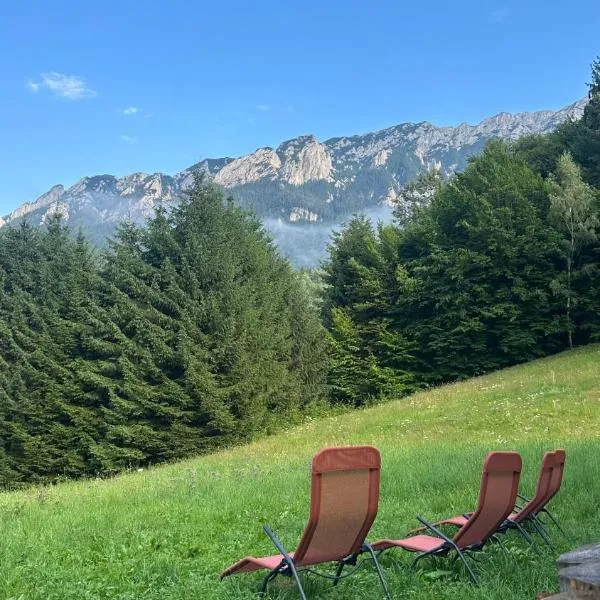 Villa & Spa Plaiul Foii - Sierra Blanca, hotel in Zărneşti