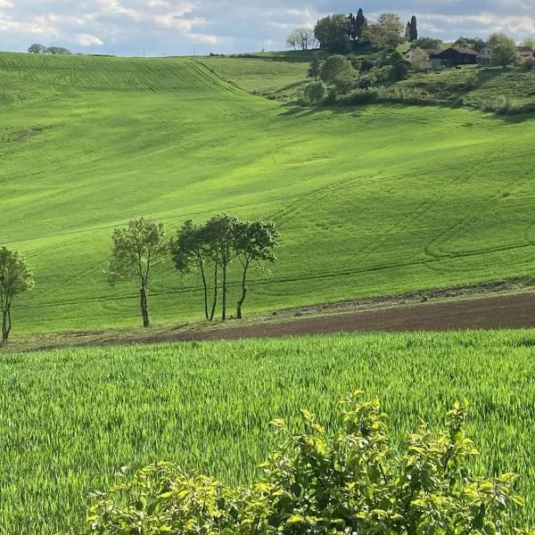 85 m2 de plain-pied, 2chambres, 3 lits dans maison confortable avec vue sur la vallée et les Pyrénées ariégeoises, grande terrasse avec barbecue et parking gratuit, hotel di Castéras
