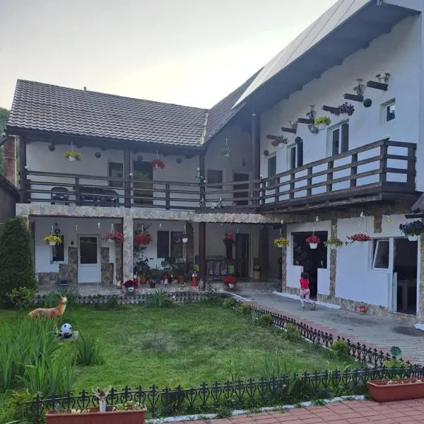 Casa Cipri si Alex, hotel in Şimon