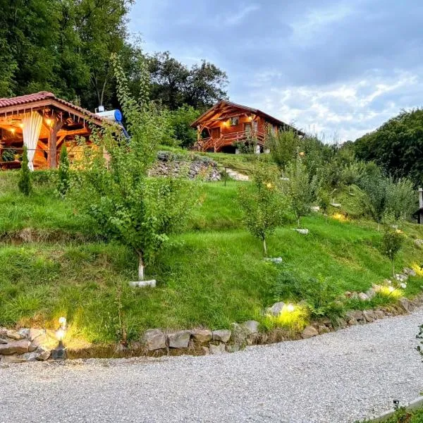 Chalets du BF, hotel v destinaci Sighişoara