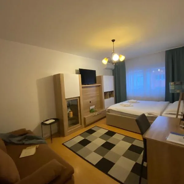Cazare Medias, apartament modern, hotel in Mediaş