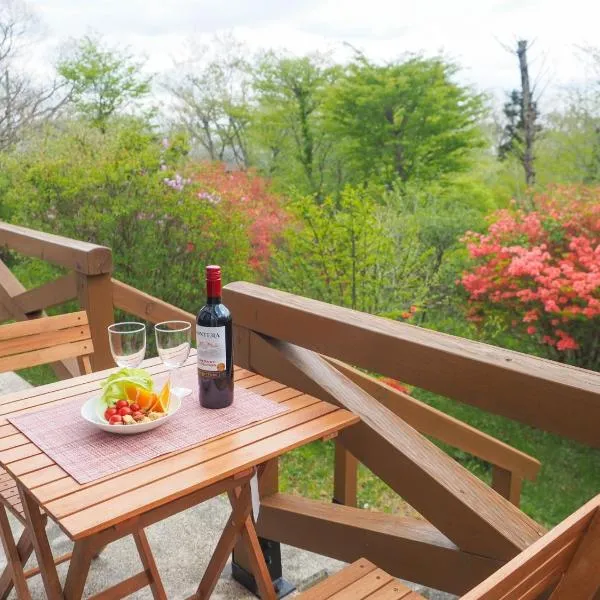 Rigeru - Vacation STAY 11338, hotel in Nasu
