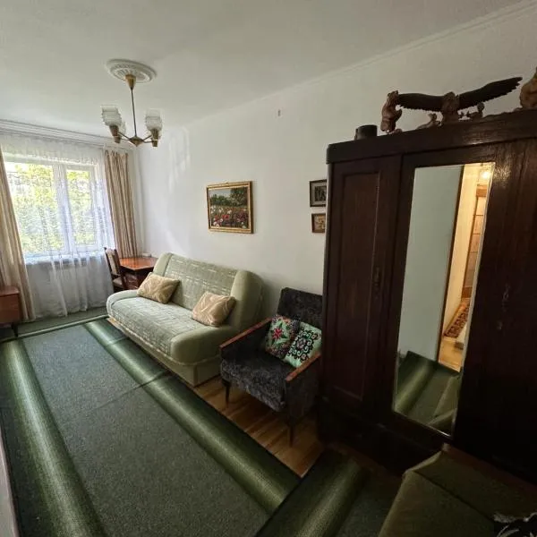 2 кімнатна квартира Трускавець,поруч центр та Дельфінарій، فندق في تريسكوفيتس