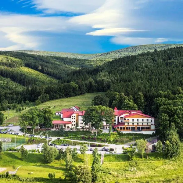 Malinowy Dwór Hotel Medical SPA, hotel in Świeradów-Zdrój