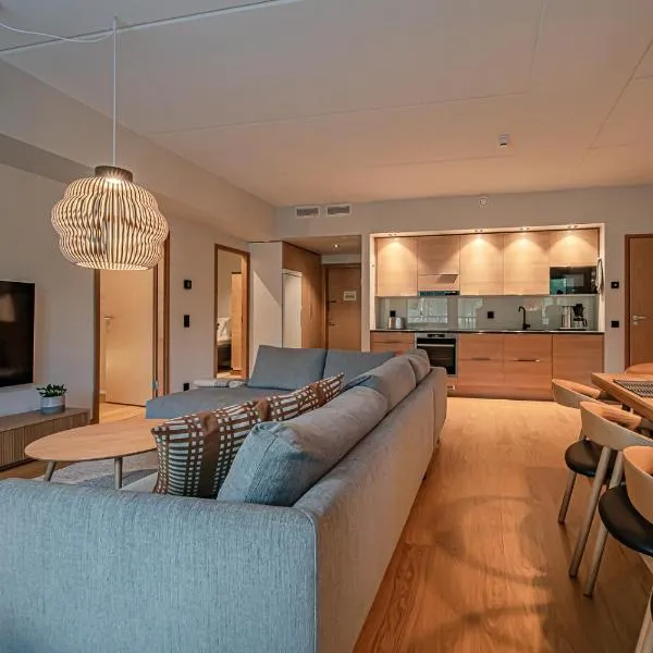 Levillas Levin Cranberry C26, hotel in Levi