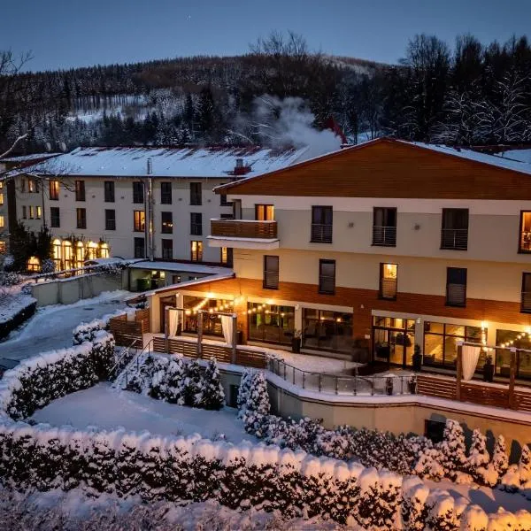 Malinowy Dwór Hotel Medical SPA, hotel in Świeradów-Zdrój