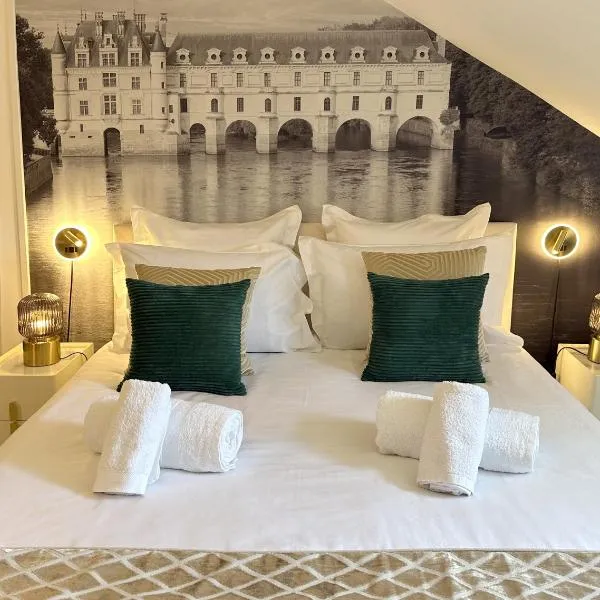 Amboise centre ville - Cocon Royal à deux pas du Château, hotel in Amboise