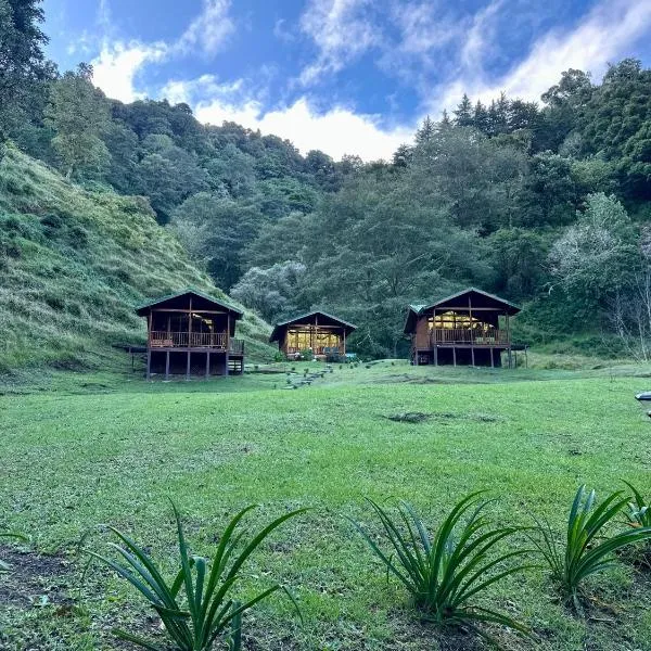 Entre Árboles Lodge, hotel in San Gerardo de Dota
