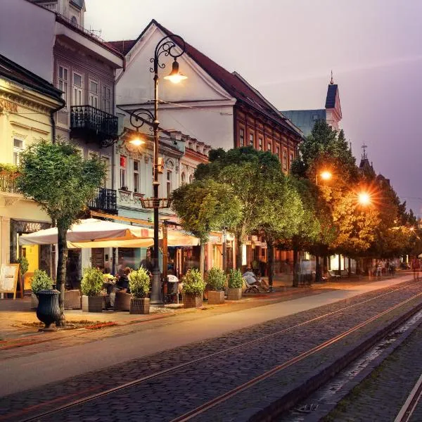 Hotel Ambassador, hotel in Košice