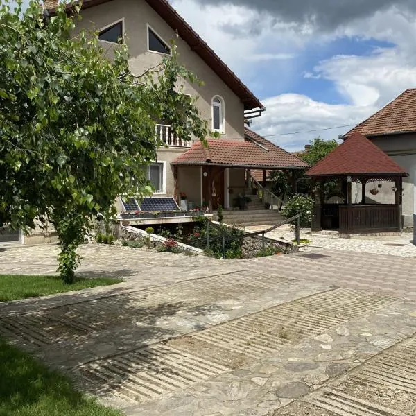 Pensiunea Roșu，位于奥勒什蒂耶的酒店