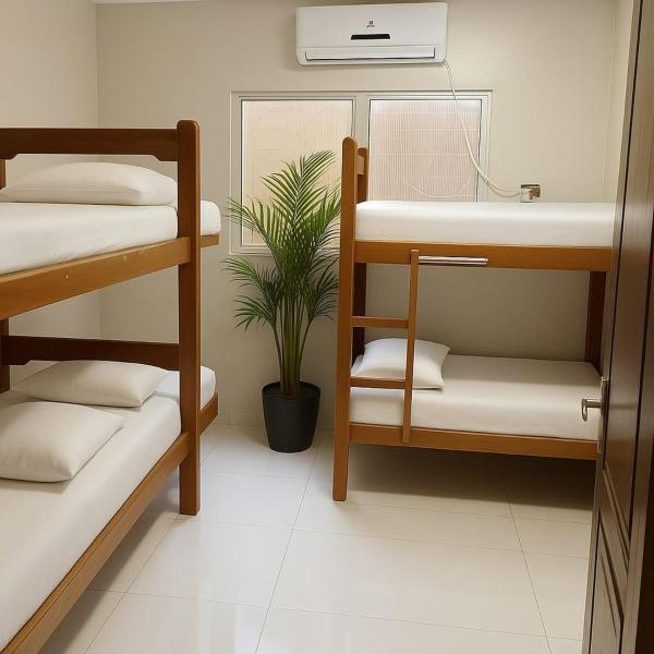 Hostel Phoenix - Foto 5