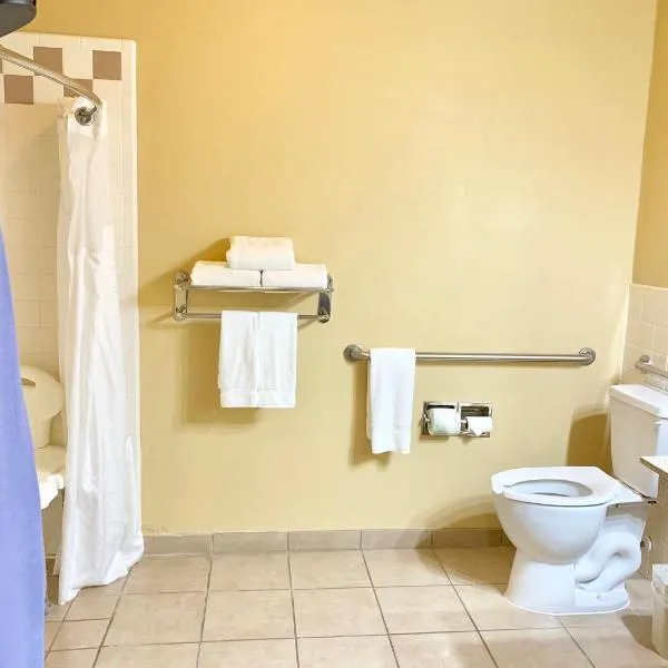 Holiday Inn Express Hotel and Suites Alice by IHG, hotel en Alice