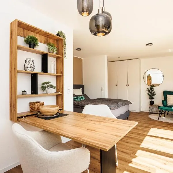 1-Zimmer Apartment in Lörrach, hotel in Lörrach
