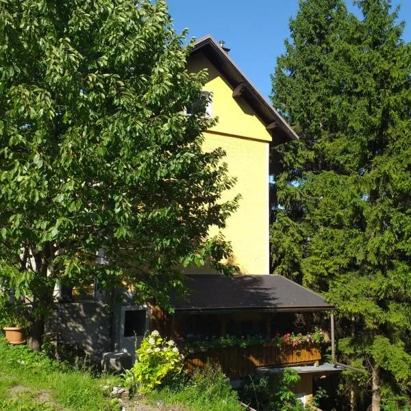 Ferienwohnung Rosenbach OG, hotel in Rosenbach