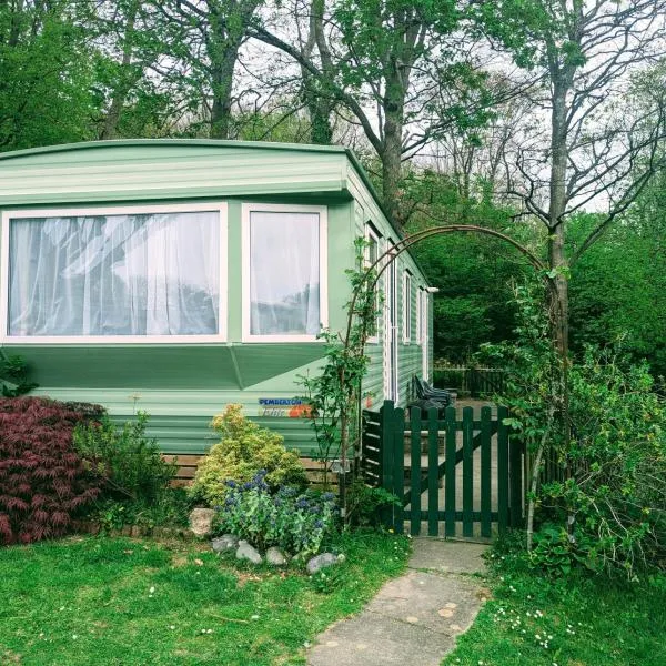 Family-Friendly Woodland Caravan Pool & Bar, hotel in Bryn-glâs Station