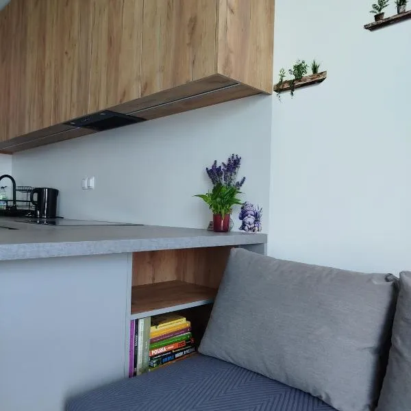 Apartament Lawendowy, hotel in Wieliszew