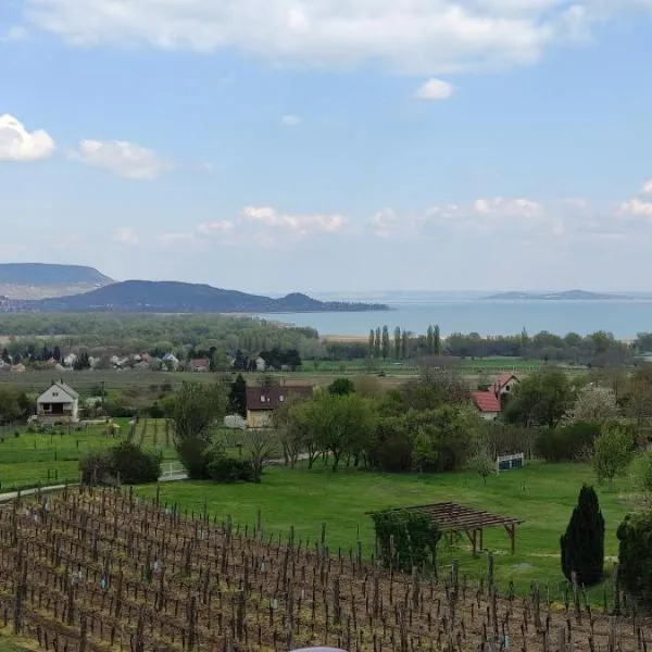 Szabó Pince Vendégház, hotel i Balatonederics