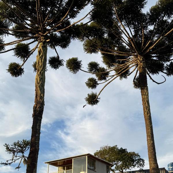 Cabana Teixeira - Foto 4