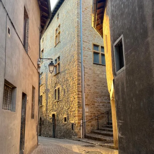 Maisonnette d'Artiste au cœur des ruelles médiévales, hotel in Trévoux