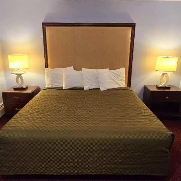 Heidelberg Motel by Capital O Bridgeport Frankenmuth MI Dixie HWY, hotel a Bridgeport