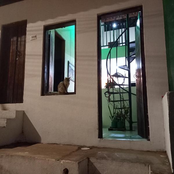 Hostel Luz