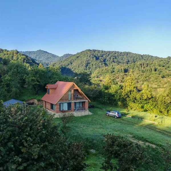 Shemoqmedi chalet, hotel in Zemo Makvanetʼi