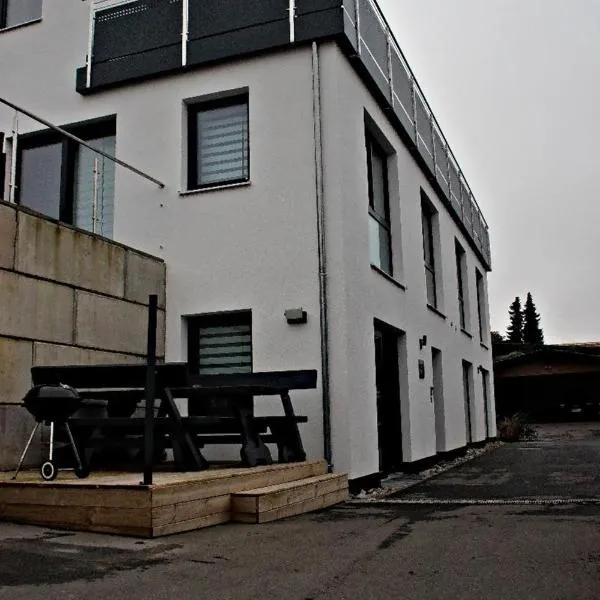 Bayerwaldapartment, hotell i Viechtach