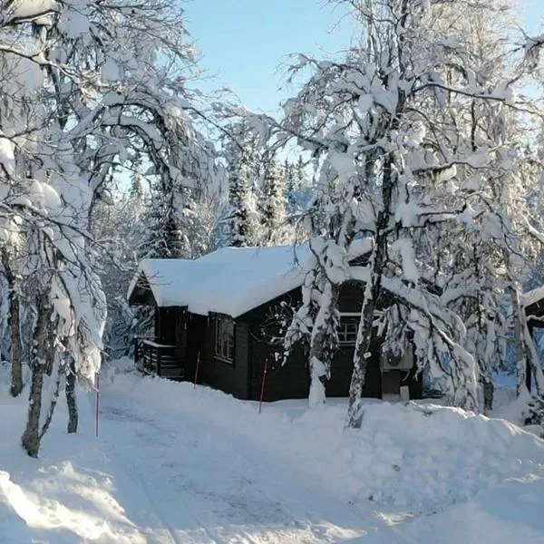 Messlingen, Orrstigen 5: Funäsdalen şehrinde bir otel