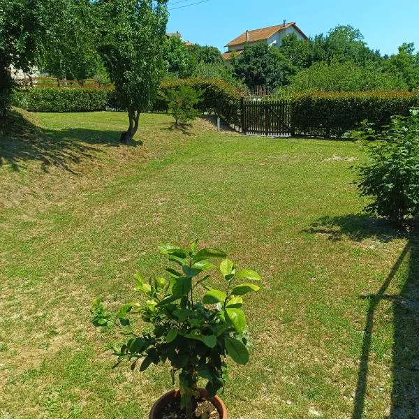 LA TANA DELLA VOLPETTA - Bed & Breakfast, hotel in Stella