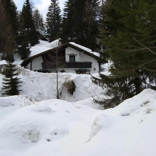 Chalet Nassfeld near Ski Slopes, ξενοδοχείο σε Sonnenalpe Nassfeld
