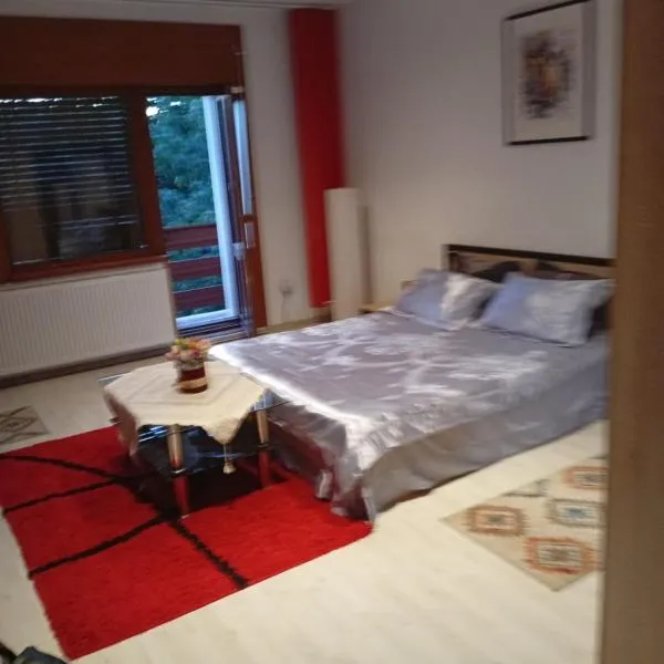 Apartament cu terasa la casa Valentin, hotel en Timisoara