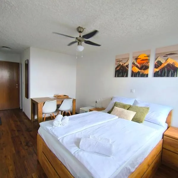 PAVLIN Bed & Breakfast, khách sạn ở Šenturska Gora