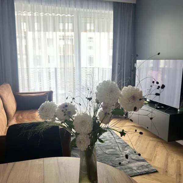 Apartament Grafitowy, hotel en Nysa