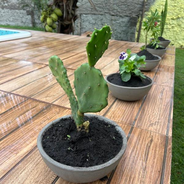 Casa Pintada - Foto 5