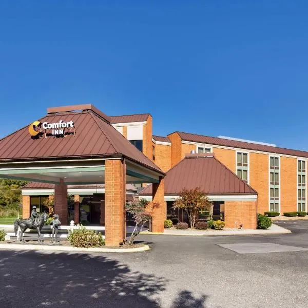 Comfort Inn Lexington Virginia Horse Center, hotel in Lexington