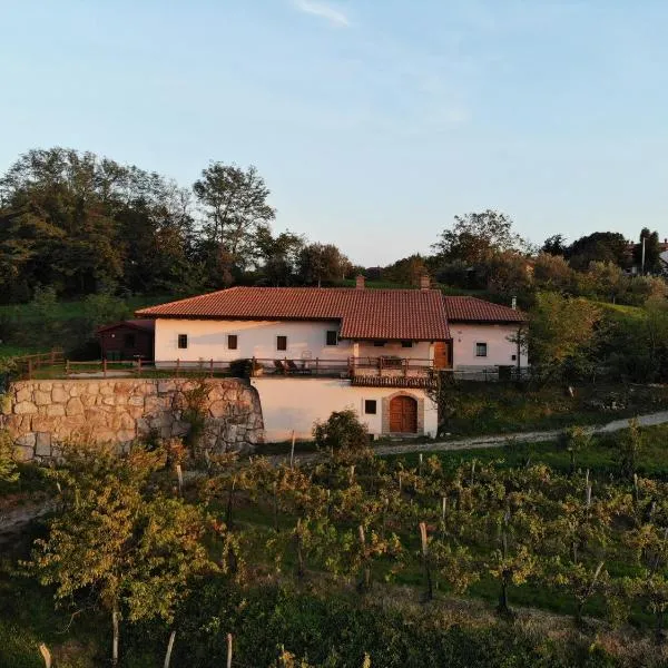 Karol-ina Estate, hotel in Branik