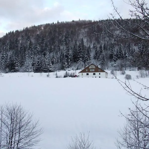 Domaine Des Hauts Viaux, hotel u gradu 'La Bresse'
