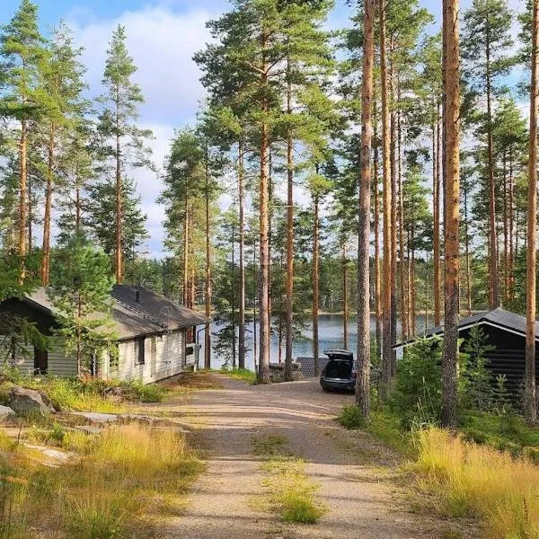 Villa Norppa, hotel in Punkaharju