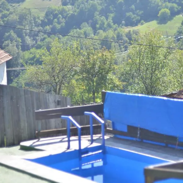 Seosko domacinstvo Radovanovic, hotel in Bajina Bašta