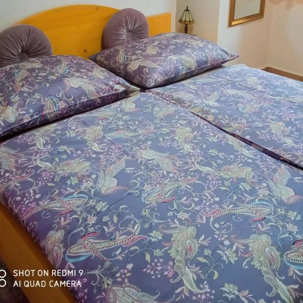 Pension Fanlor, hotel in Zubčická Lhotka