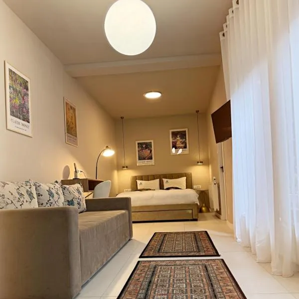 Lucas 10 Apartments，位于克卢日-纳波卡的酒店