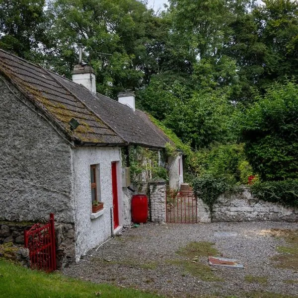 Moore's Cottage, Hotel in Birr