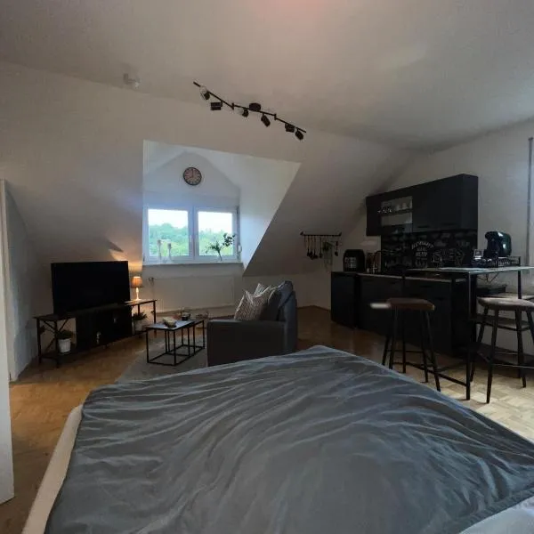 Apartment in Marburg, hotel in Marburg an der Lahn